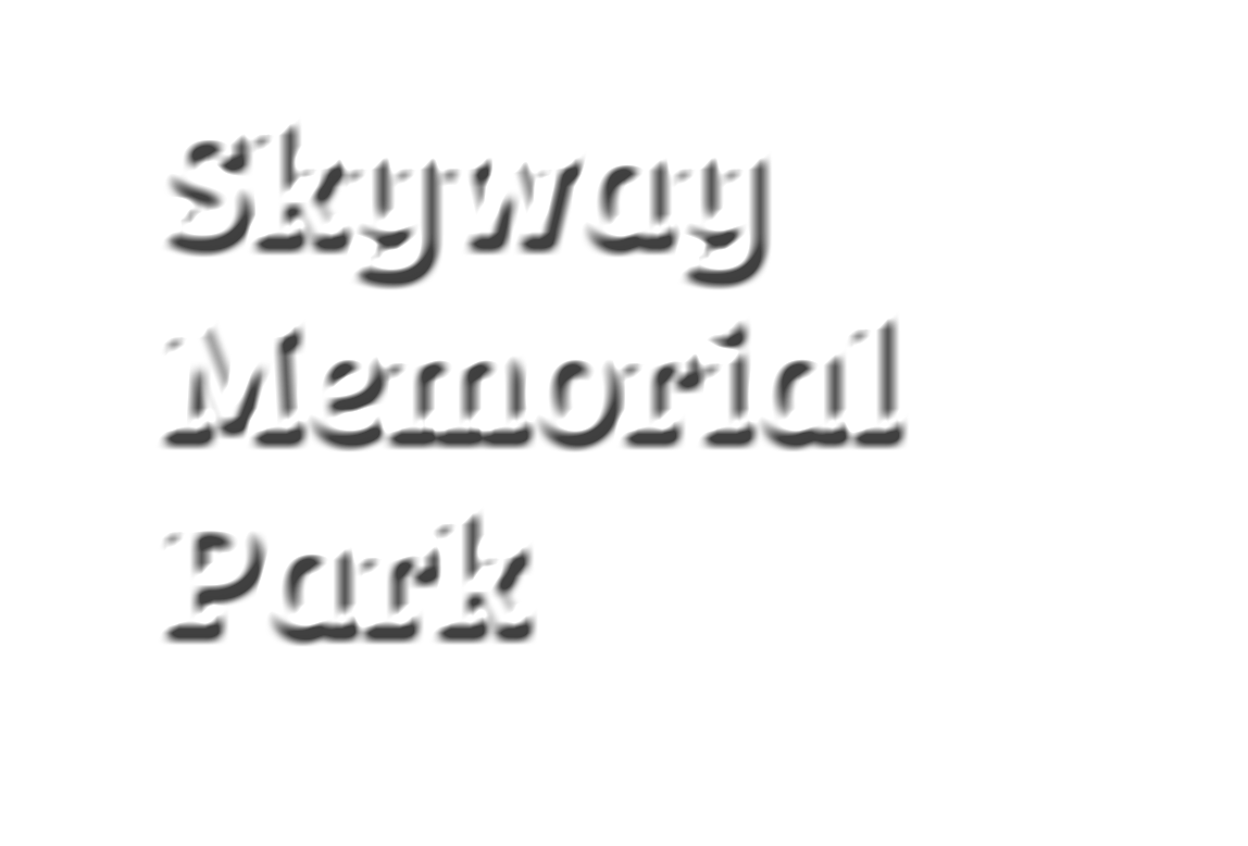 Skyway Memorial Park